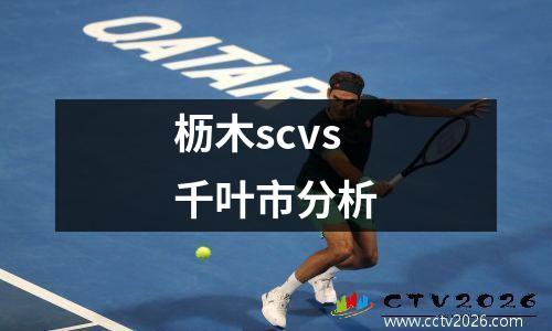 枥木scvs千叶市分析
