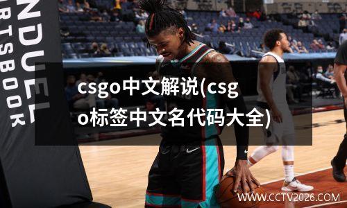 csgo中文解说(csgo标签中文名代码大全)
