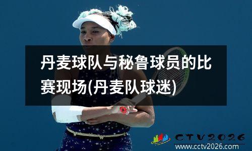 丹麦球队与秘鲁球员的比赛现场(丹麦队球迷)