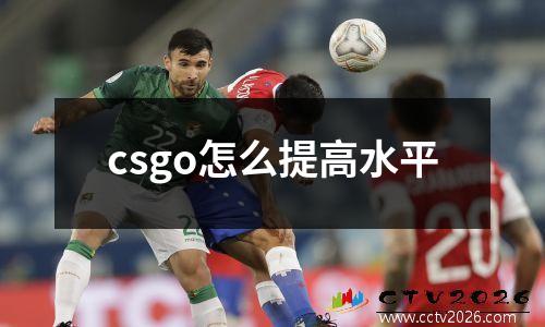 csgo怎么提高水平