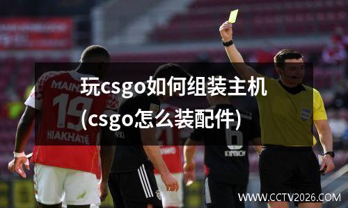 玩csgo如何组装主机(csgo怎么装配件)