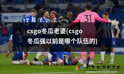 csgo冬瓜老婆(csgo冬瓜强以前是哪个队伍的)