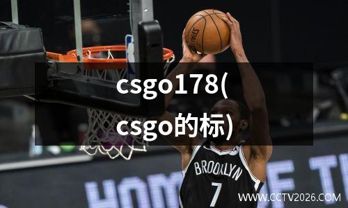 csgo178(csgo的标)