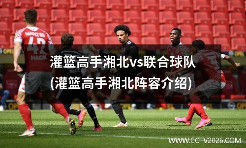 灌篮高手湘北vs联合球队(灌篮高手湘北阵容介绍)