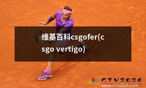 维基百科csgofer(csgo vertigo)