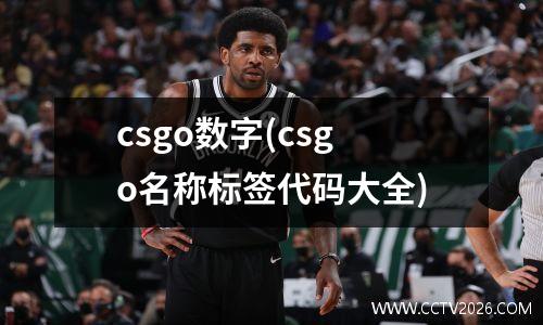 csgo数字(csgo名称标签代码大全)
