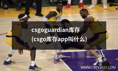 csgoguardian库存(csgo库存app叫什么)