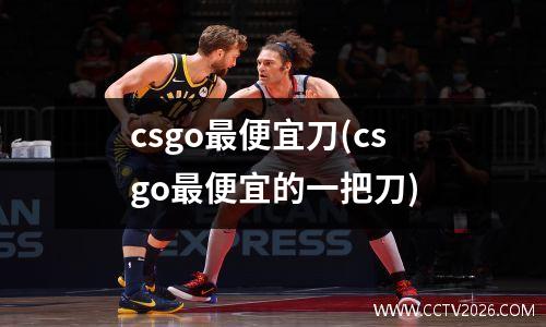 csgo最便宜刀(csgo最便宜的一把刀)