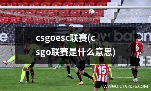 csgoesc联赛(csgo联赛是什么意思)