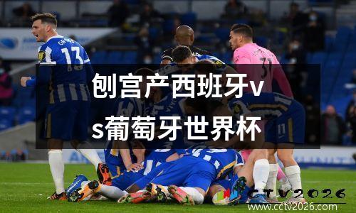 刨宫产西班牙vs葡萄牙世界杯