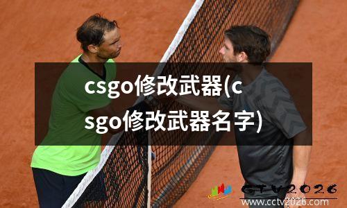 csgo修改武器(csgo修改武器名字)