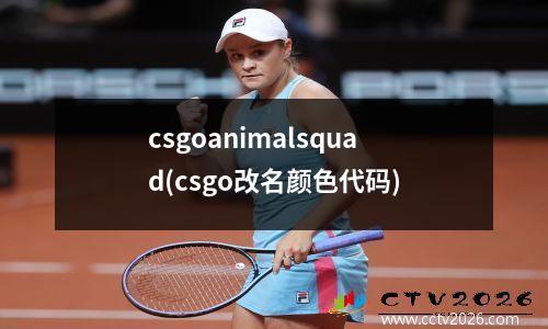 csgoanimalsquad(csgo改名颜色代码)