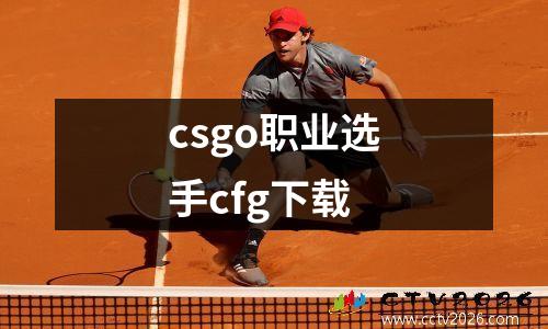 csgo职业选手cfg下载