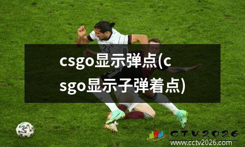 csgo显示弹点(csgo显示子弹着点)