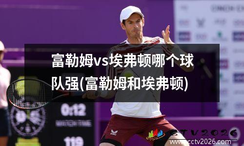 富勒姆vs埃弗顿哪个球队强(富勒姆和埃弗顿)