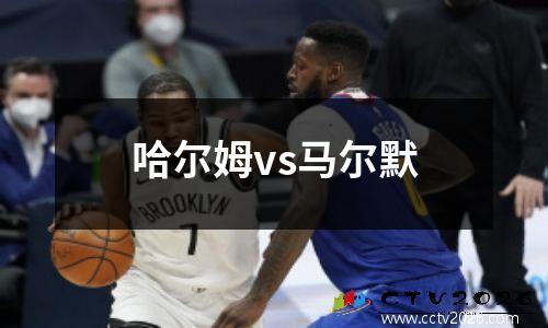 哈尔姆vs马尔默