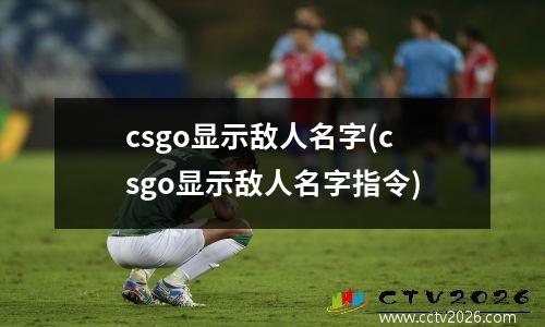 csgo显示敌人名字(csgo显示敌人名字指令)