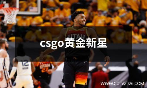 csgo黄金新星
