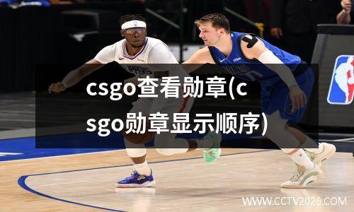 csgo查看勋章(csgo勋章显示顺序)