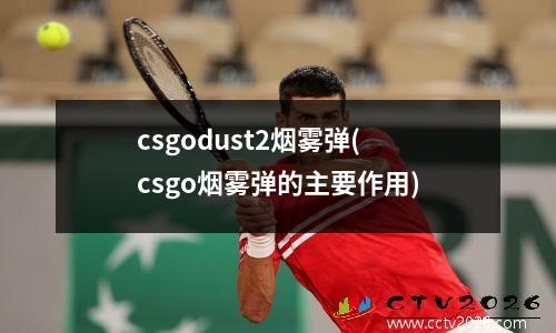 csgodust2烟雾弹(csgo烟雾弹的主要作用)
