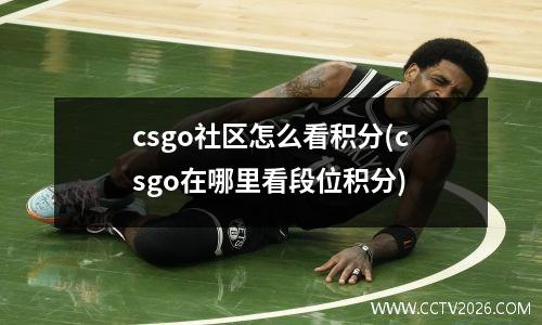 csgo社区怎么看积分(csgo在哪里看段位积分)