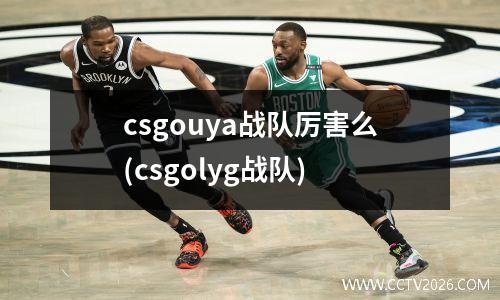 csgouya战队厉害么(csgolyg战队)