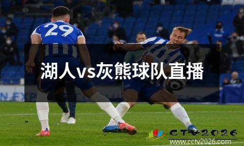 湖人vs灰熊球队直播