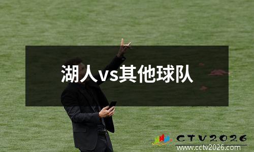 湖人vs其他球队