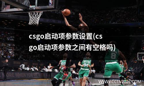 csgo启动项参数设置(csgo启动项参数之间有空格吗)