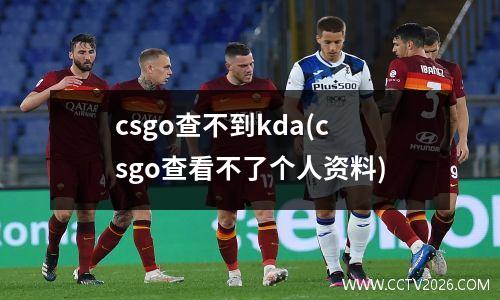 csgo查不到kda(csgo查看不了个人资料)