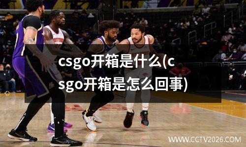 csgo开箱是什么(csgo开箱是怎么回事)