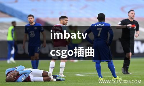 imbatvcsgo插曲