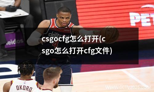 csgocfg怎么打开(csgo怎么打开cfg文件)