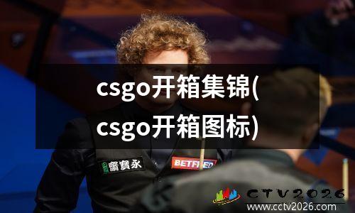 csgo开箱集锦(csgo开箱图标)