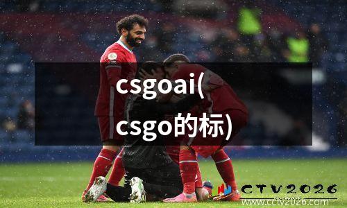 csgoai(csgo的标)