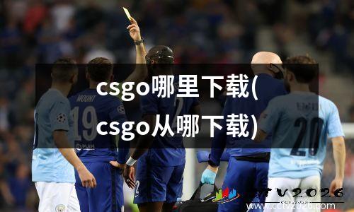 csgo哪里下载(csgo从哪下载)