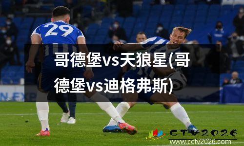 哥德堡vs天狼星(哥德堡vs迪格弗斯)