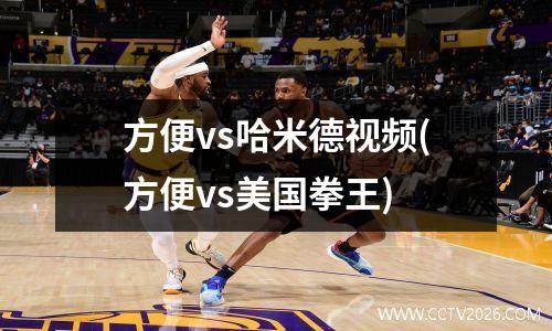 方便vs哈米德视频(方便vs美国拳王)