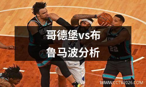 哥德堡vs布鲁马波分析