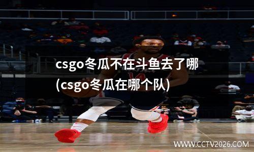 csgo冬瓜不在斗鱼去了哪(csgo冬瓜在哪个队)