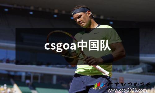 csgoa中国队