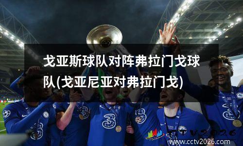 戈亚斯球队对阵弗拉门戈球队(戈亚尼亚对弗拉门戈)