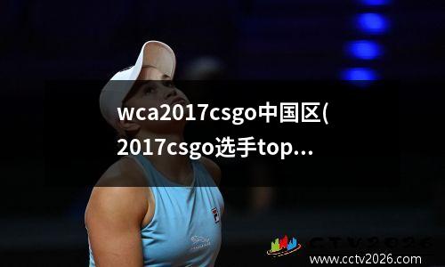 wca2017csgo中国区(2017csgo选手top榜)