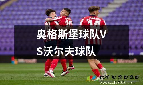 奥格斯堡球队VS沃尔夫球队