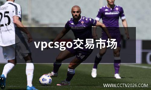 vpcsgo交易市场