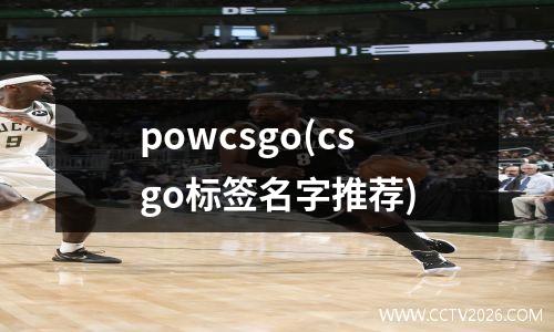 powcsgo(csgo标签名字推荐)