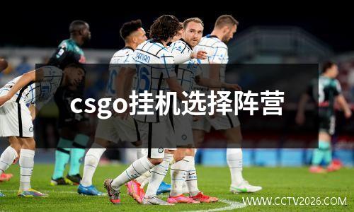 csgo挂机选择阵营