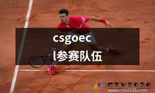 csgoecl参赛队伍