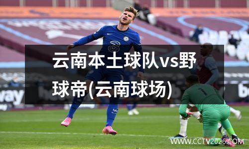 云南本土球队vs野球帝(云南球场)