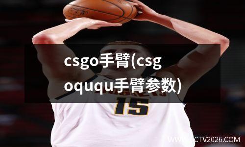 csgo手臂(csgoququ手臂参数)